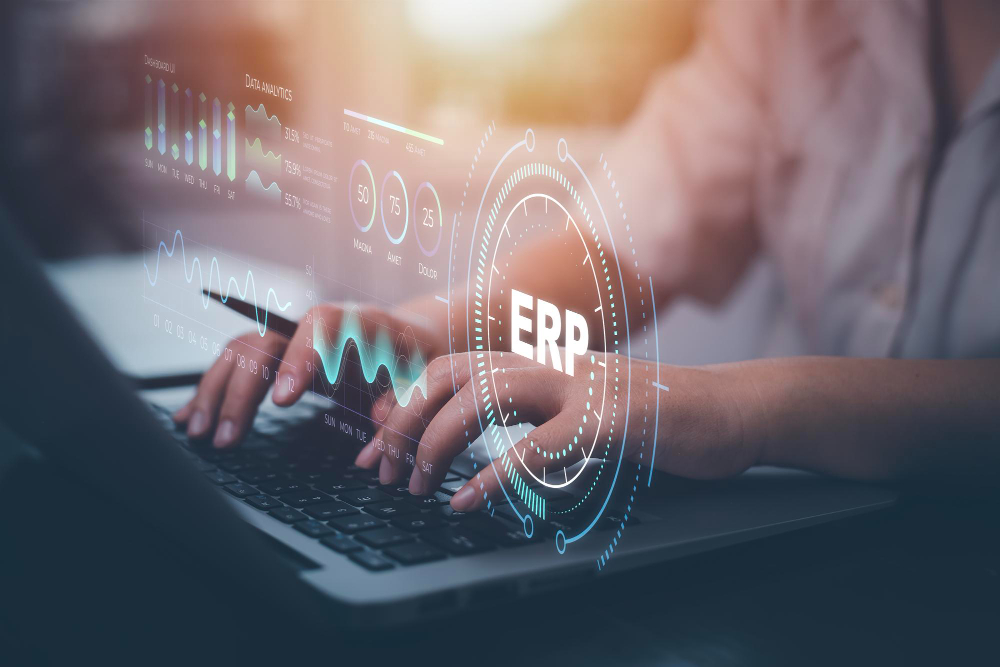 ERPNext partner