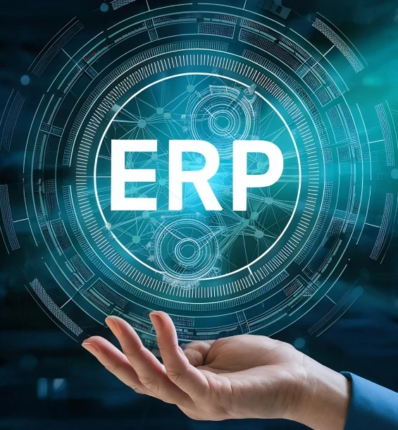 Our ERPNext Services for Sharjah Businesses